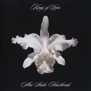 A-ha shake heartbreak